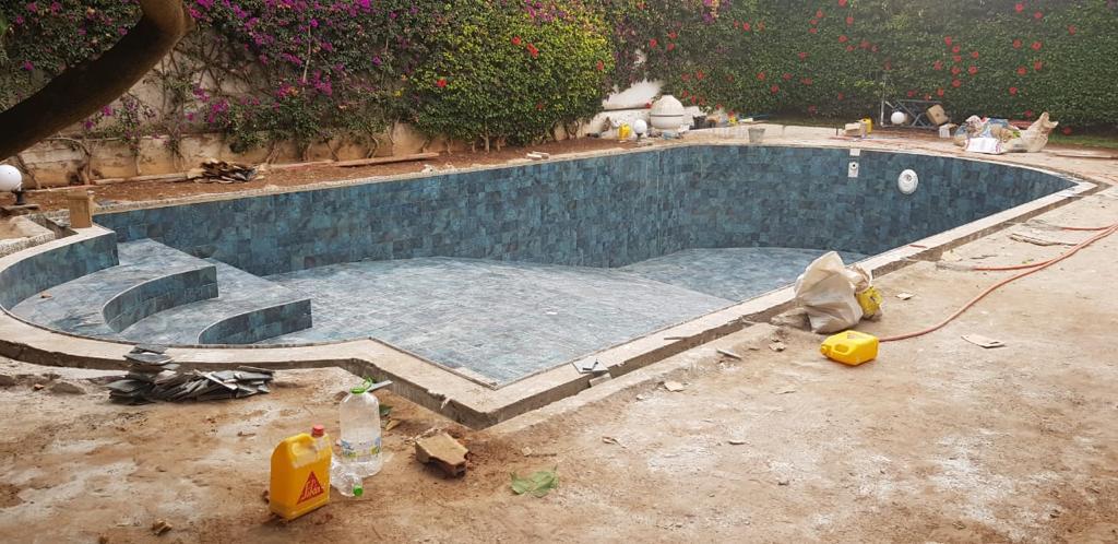 Piscine en forme libre